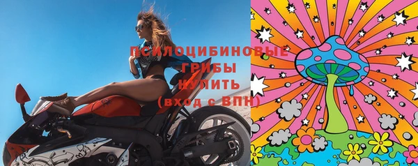 2c-b Алзамай