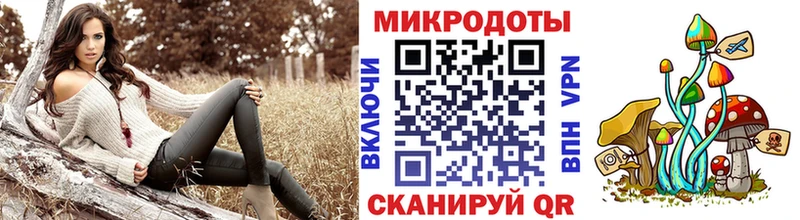 купить  сайты  Жирновск  Псилоцибиновые грибы Psilocybe 